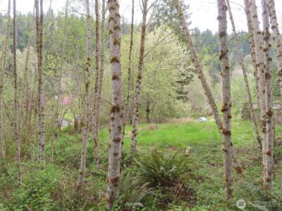 0 XXX Larson Road , Mossyrock, WA 98564 - Photo 19
