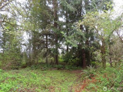 0 XXX Larson Road , Mossyrock, WA 98564 - Photo 20