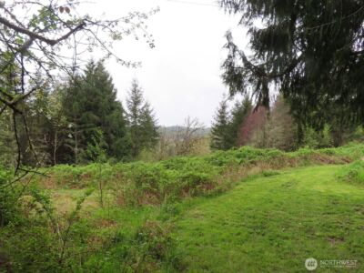 0 XXX Larson Road , Mossyrock, WA 98564 - Photo 21
