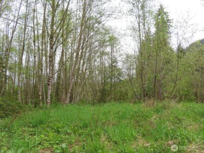 0 XXX Larson Road , Mossyrock, WA 98564 - Photo 22