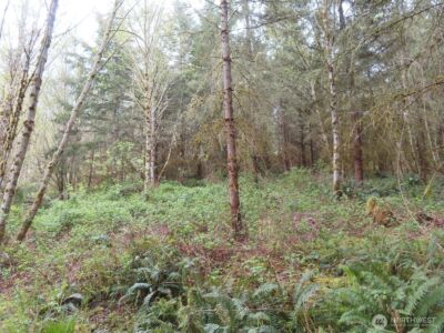 0 XXX Larson Road , Mossyrock, WA 98564 - Photo 23