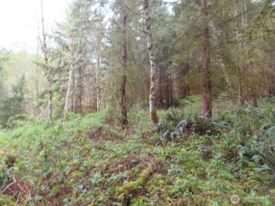 0 XXX Larson Road , Mossyrock, WA 98564 - Photo 24