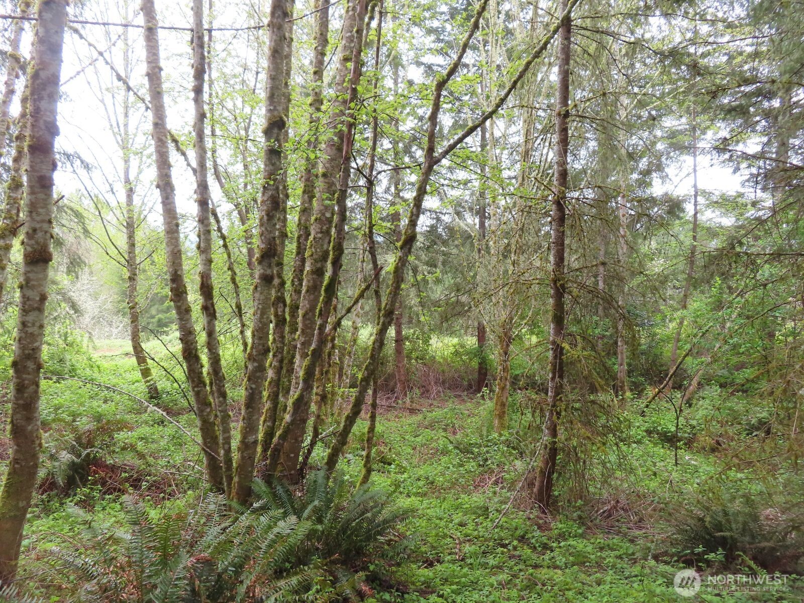 0 XXX Larson Road , Mossyrock, WA 98564