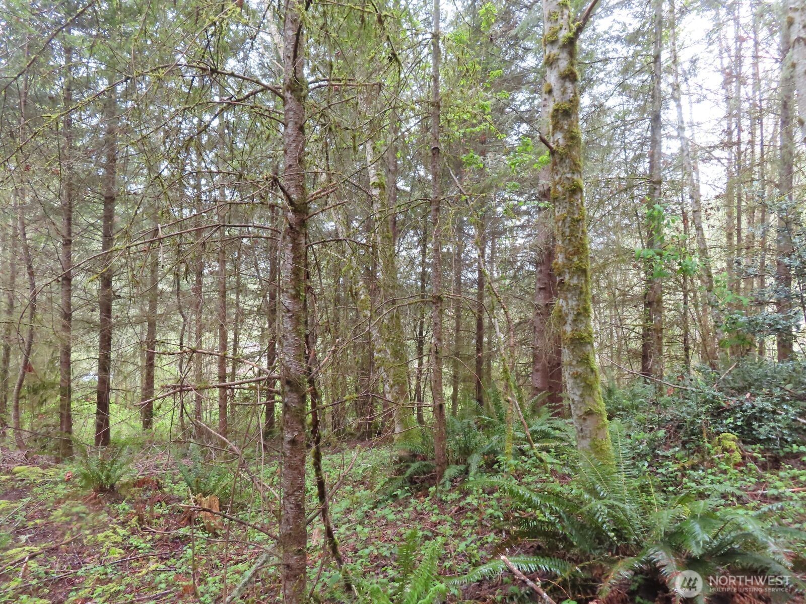 0 XXX Larson Road , Mossyrock, WA 98564