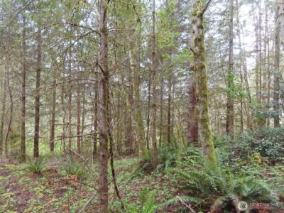 0 XXX Larson Road , Mossyrock, WA 98564 - Photo 27