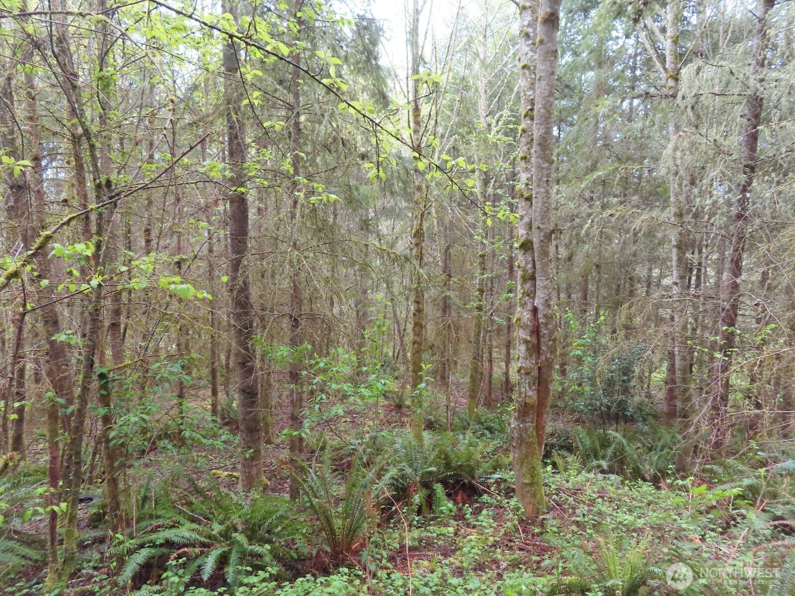 0 XXX Larson Road , Mossyrock, WA 98564