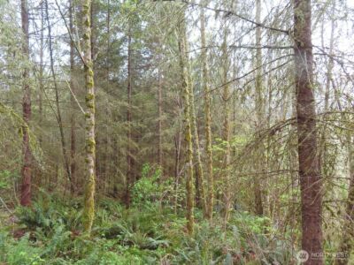0 XXX Larson Road , Mossyrock, WA 98564 - Photo 29
