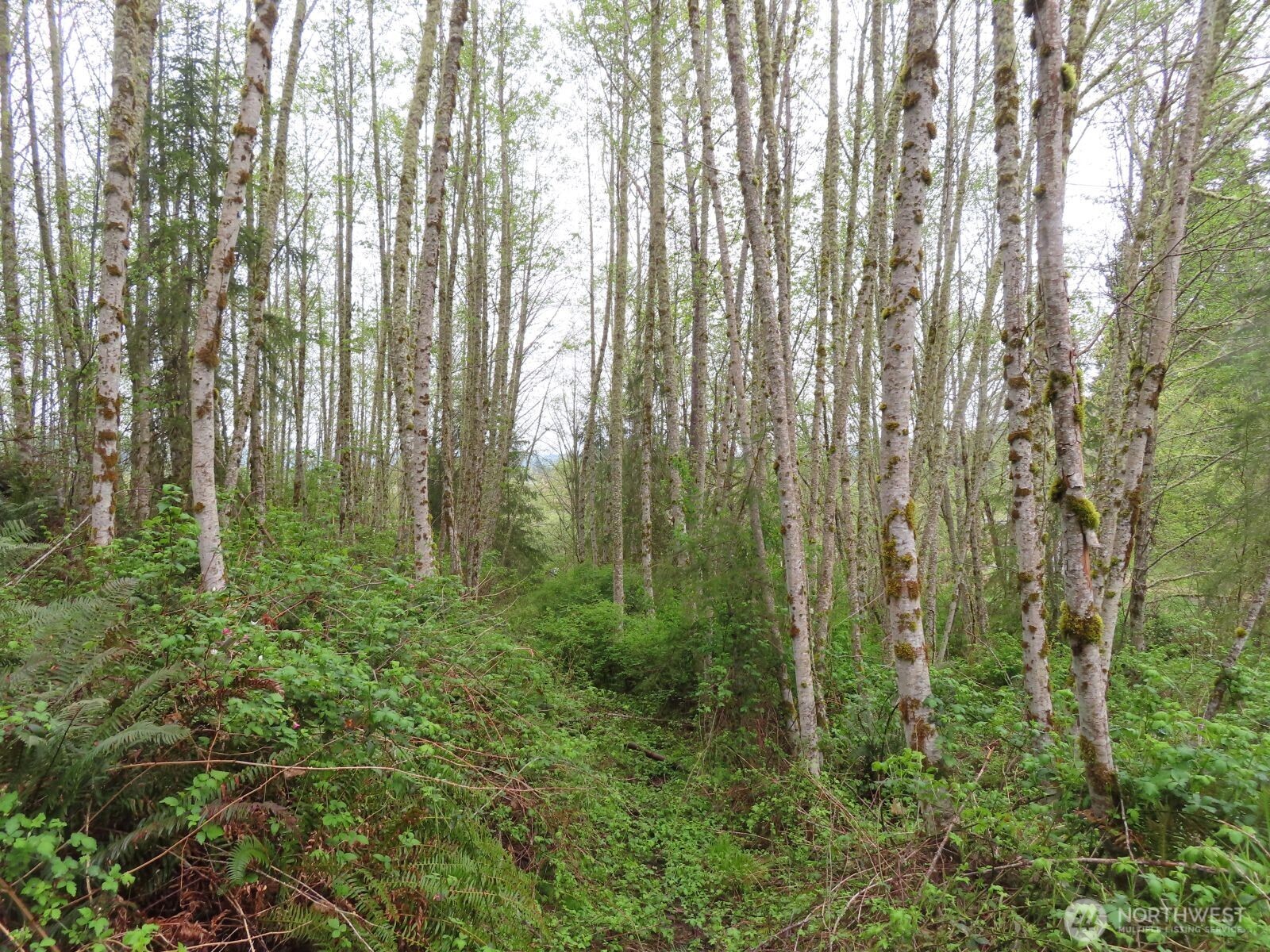 0 XXX Larson Road , Mossyrock, WA 98564