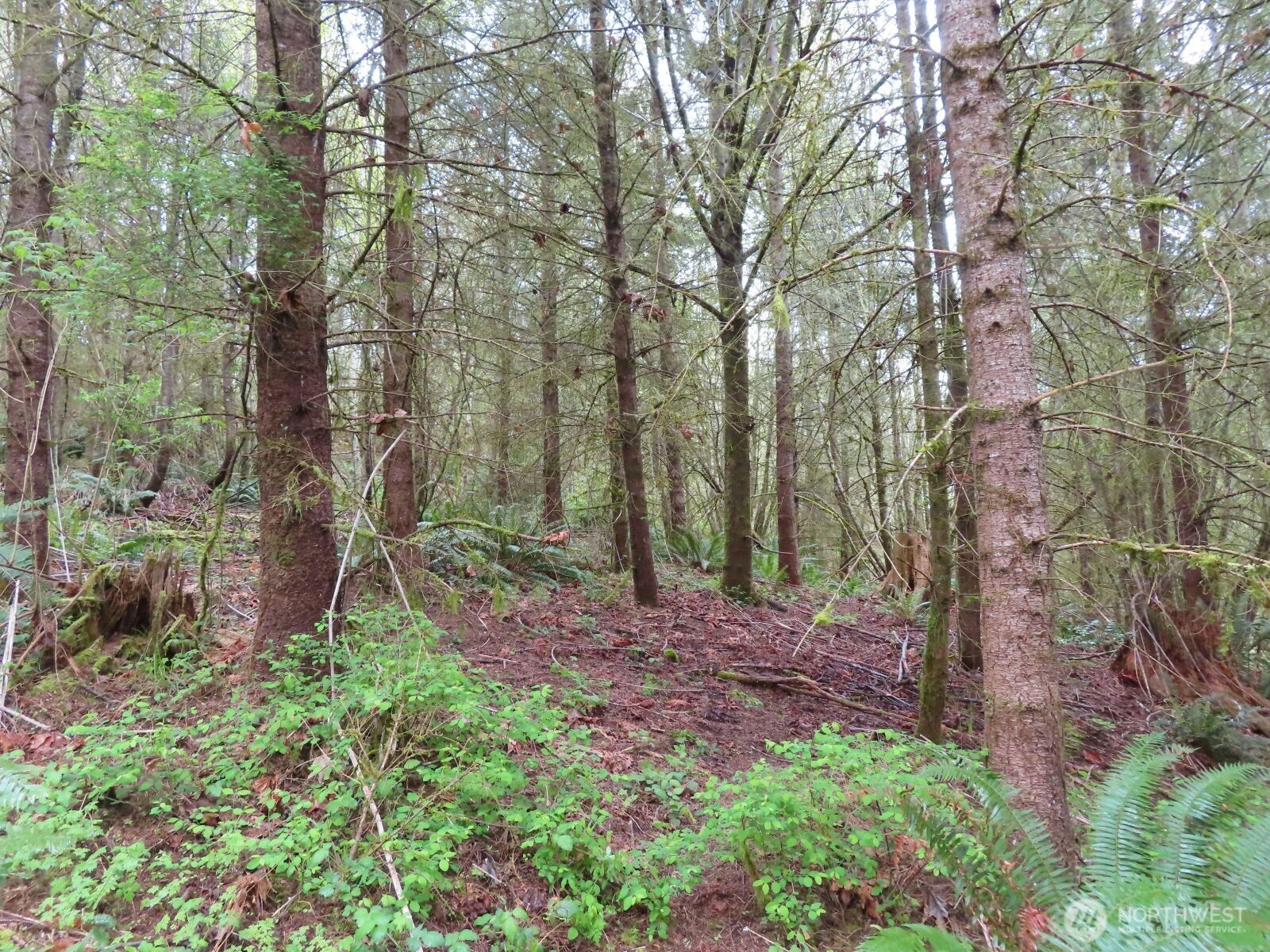 0 XXX Larson Road , Mossyrock, WA 98564