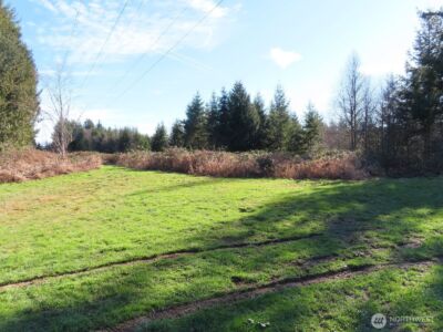 0 XXX Larson Road , Mossyrock, WA 98564 - Photo 4
