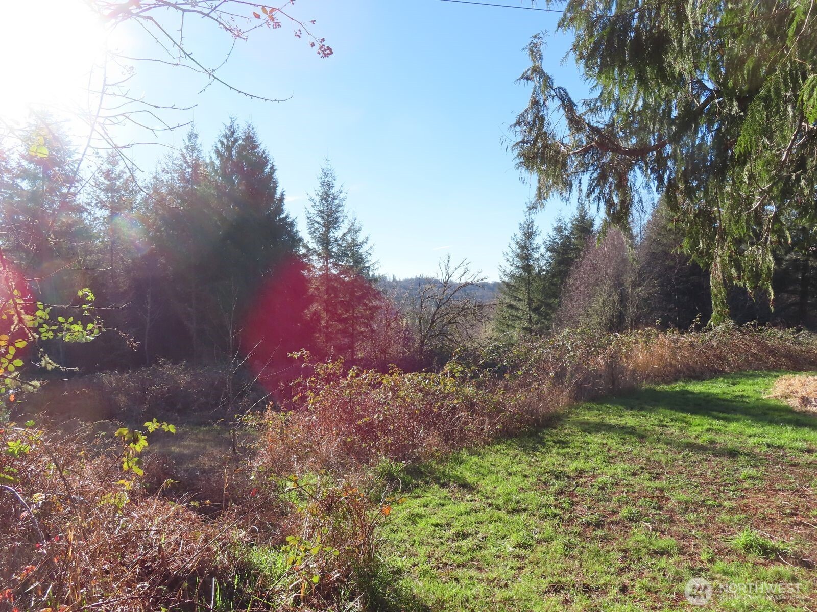 0 XXX Larson Road , Mossyrock, WA 98564