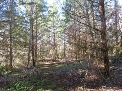 0 XXX Larson Road , Mossyrock, WA 98564 - Photo 6
