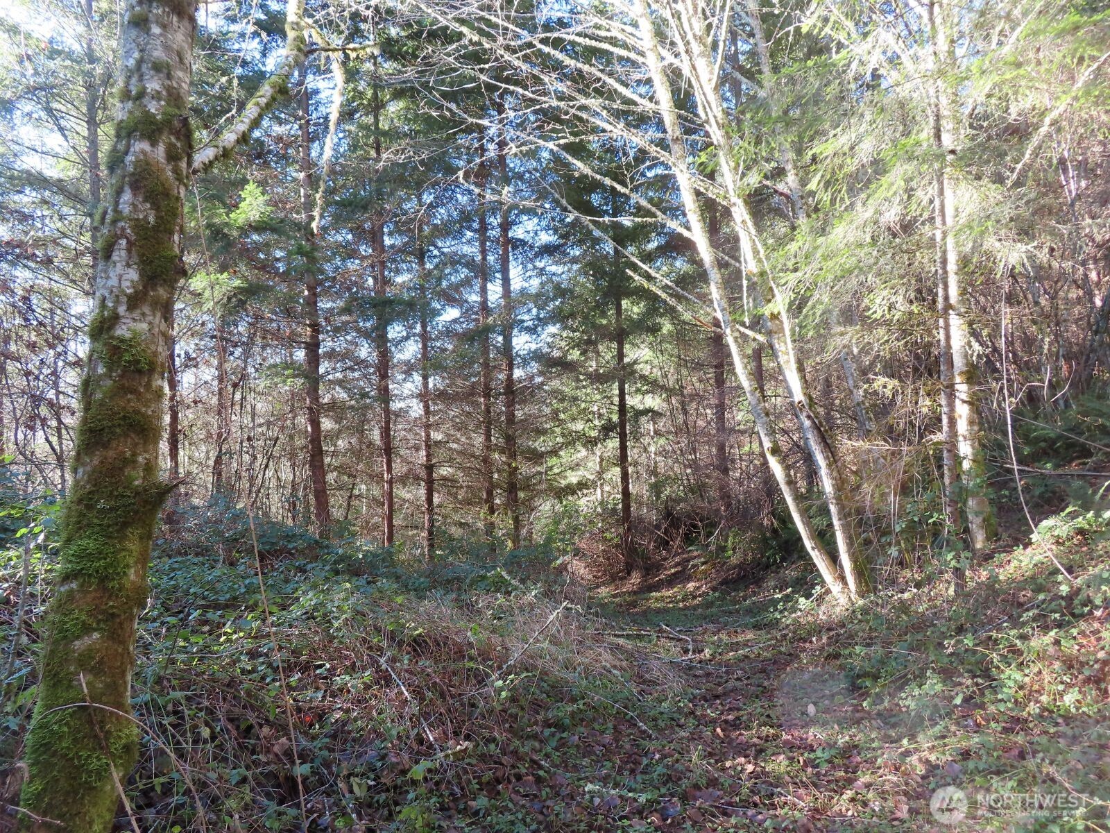 0 XXX Larson Road , Mossyrock, WA 98564