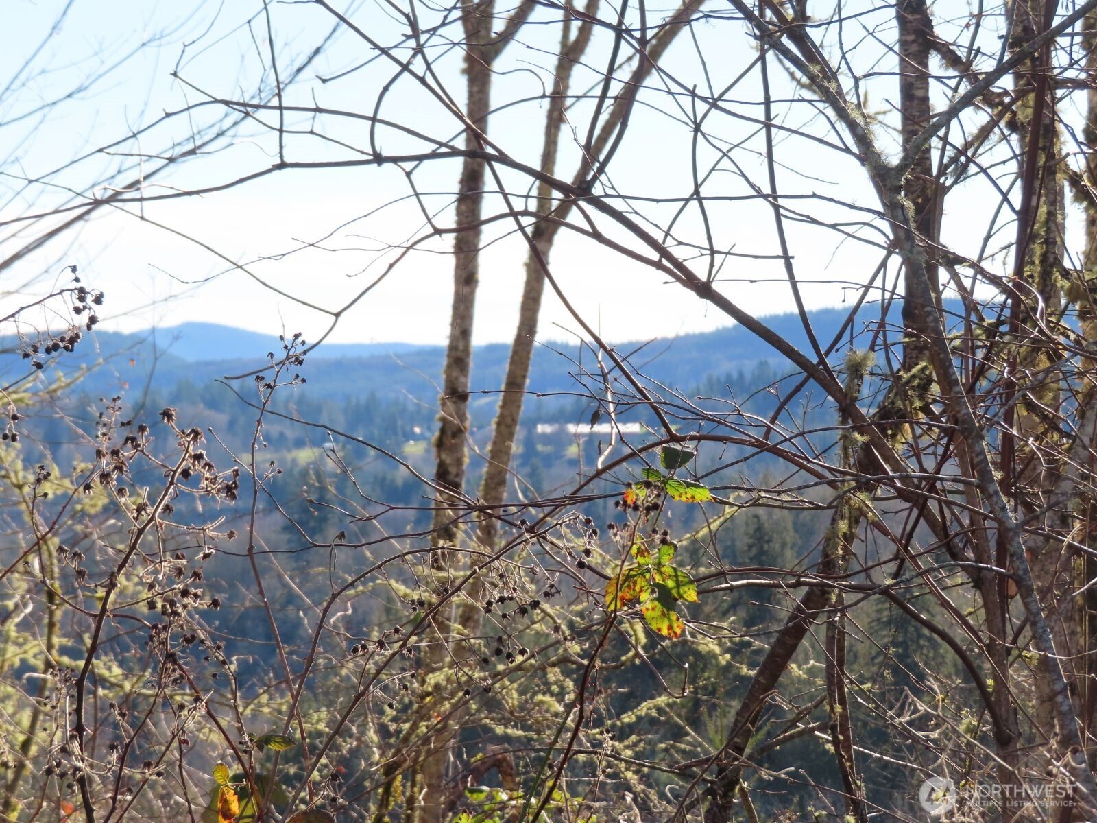 0 XXX Larson Road , Mossyrock, WA 98564