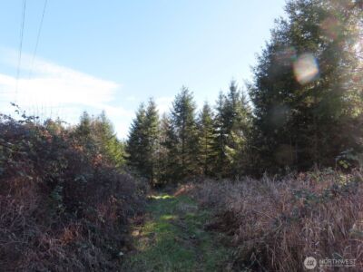 0 XXX Larson Road , Mossyrock, WA 98564 - Photo 10
