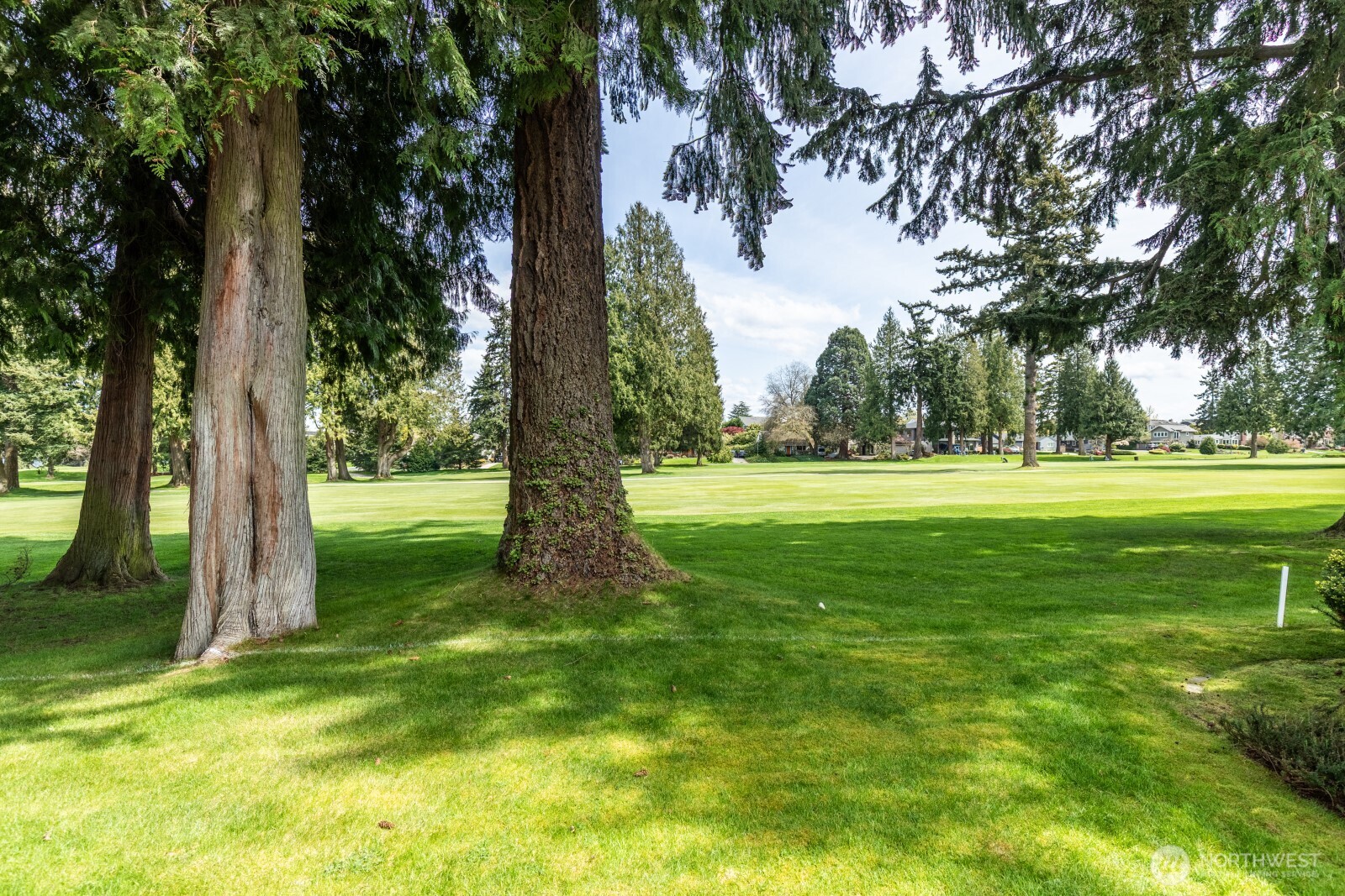 8028 45th Avenue NE, Seattle, WA 98115