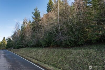 99999 Lot 3 Owls Nest Road , Sequim, WA 98382 - Photo 21