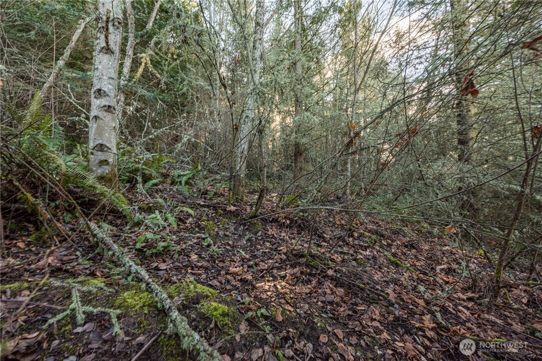 99999 Lot 3 Owls Nest Road , Sequim, WA 98382