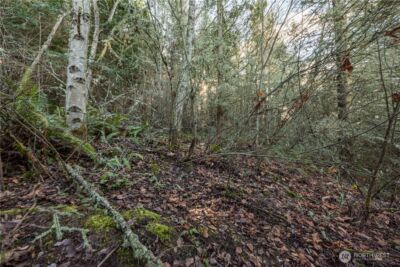 99999 Lot 3 Owls Nest Road , Sequim, WA 98382 - Photo 29