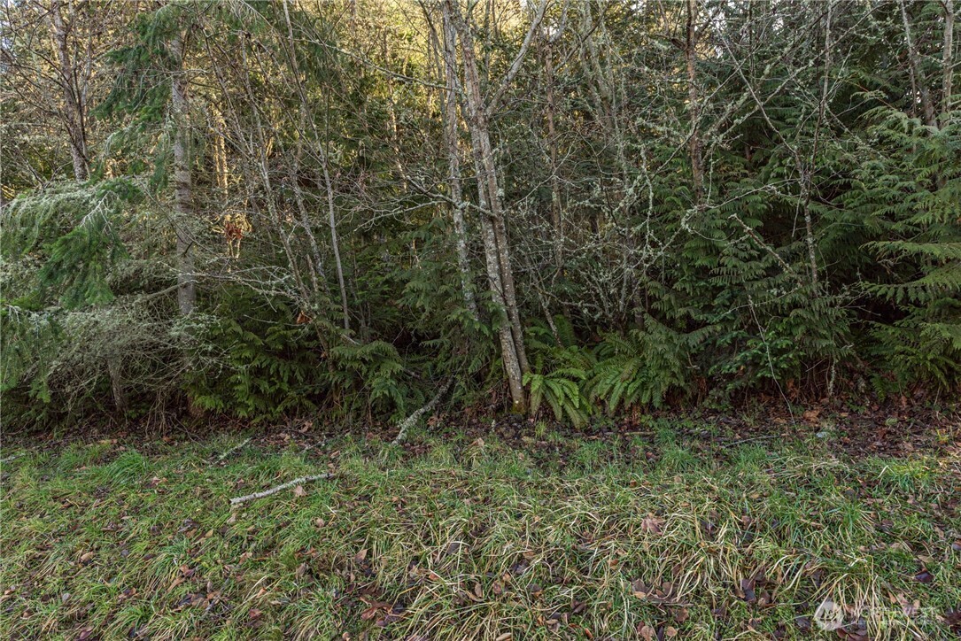 99999 Lot 3 Owls Nest Road , Sequim, WA 98382