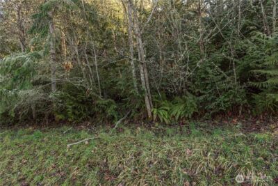 99999 Lot 3 Owls Nest Road , Sequim, WA 98382 - Photo 33