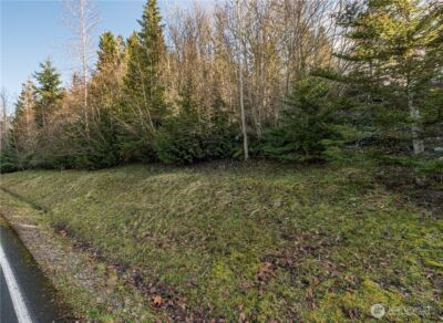 99999 Lot 3 Owls Nest Road , Sequim, WA 98382 - Photo 34