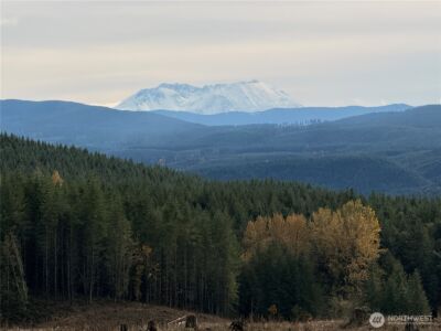 50 x Winston Creek Road , Mossyrock, WA 98564 - Photo 11
