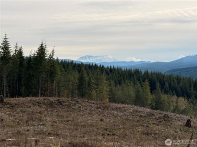 50 x Winston Creek Road , Mossyrock, WA 98564 - Photo 12