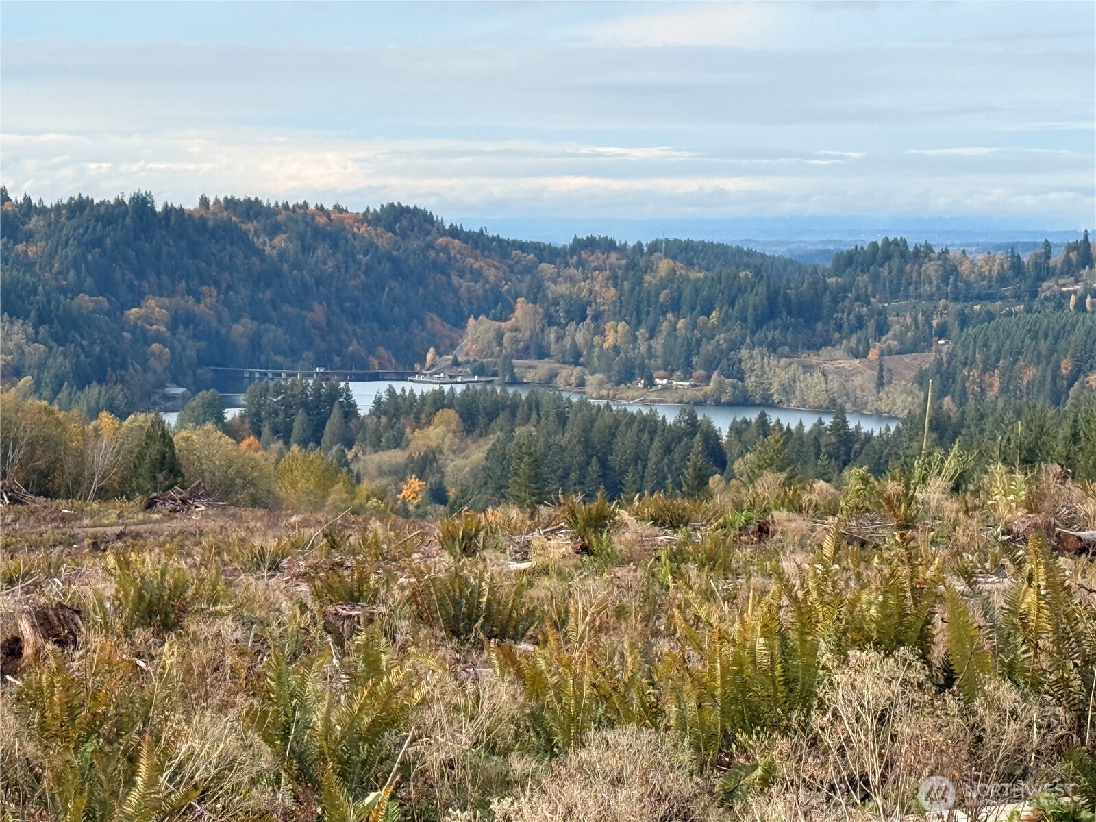 50 x Winston Creek Road , Mossyrock, WA 98564
