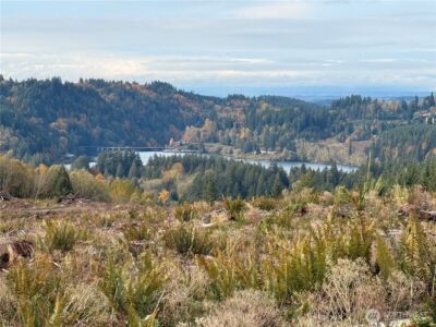 50 x Winston Creek Road , Mossyrock, WA 98564 - Photo 13