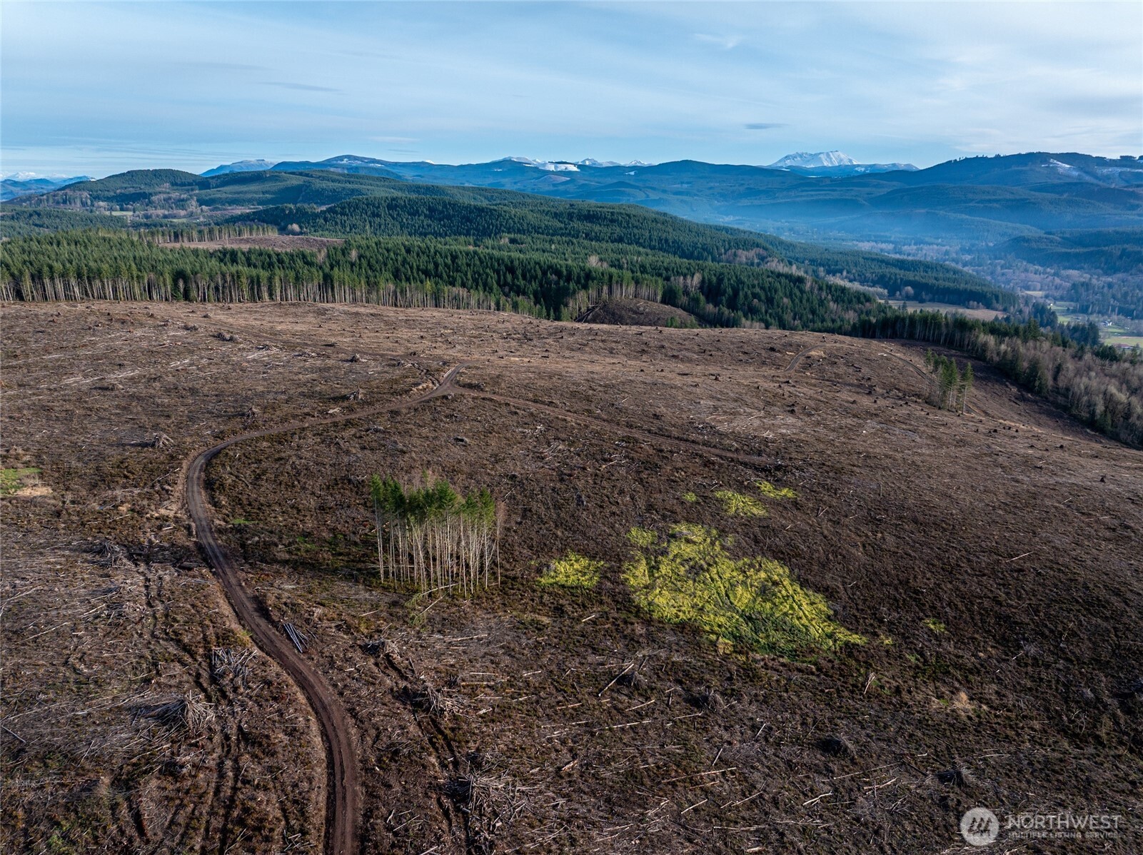 50 x Winston Creek Road , Mossyrock, WA 98564
