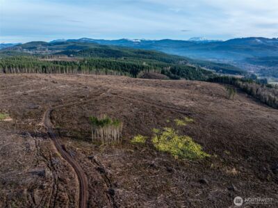 50 x Winston Creek Road , Mossyrock, WA 98564 - Photo 15