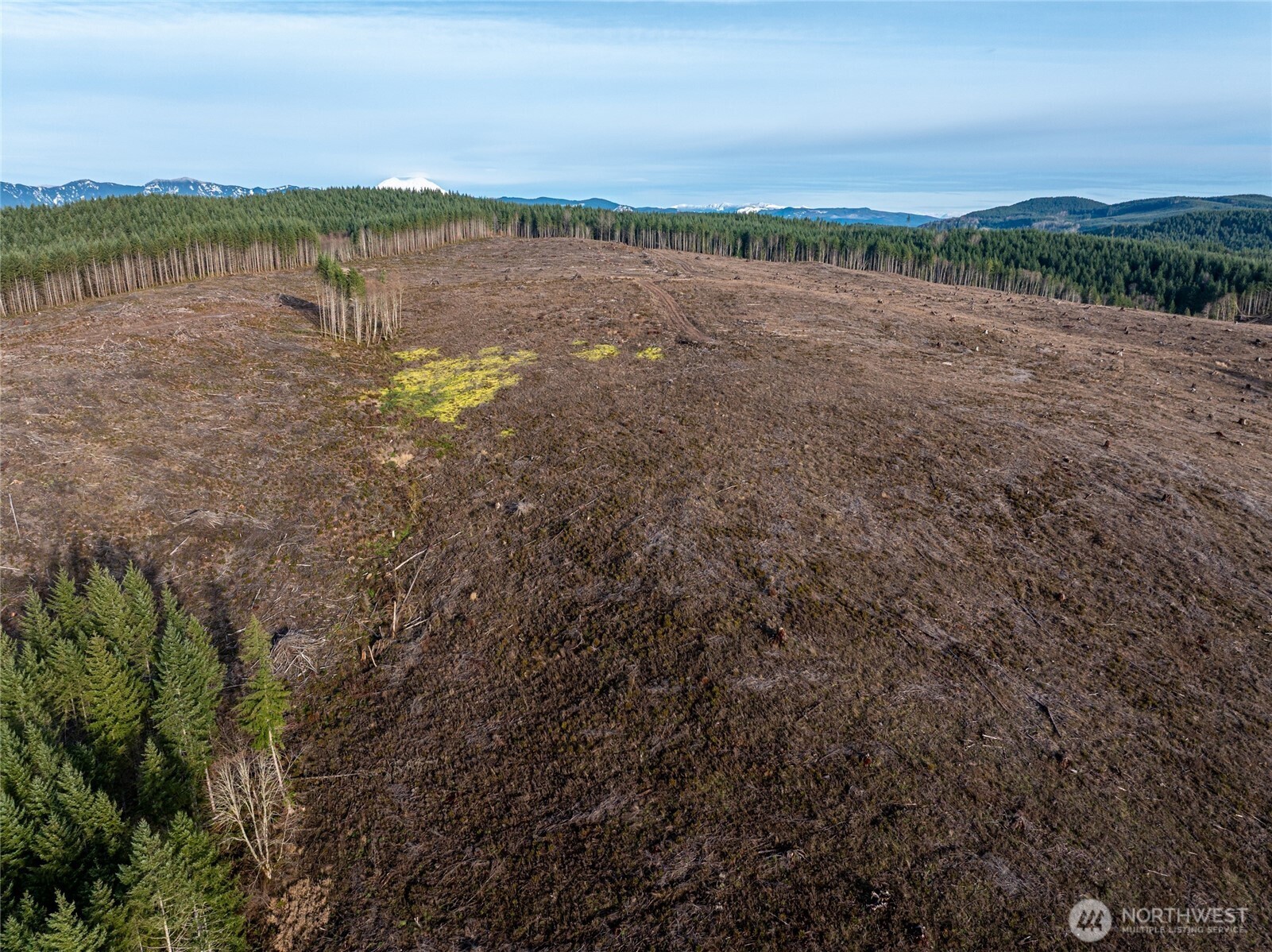 50 x Winston Creek Road , Mossyrock, WA 98564