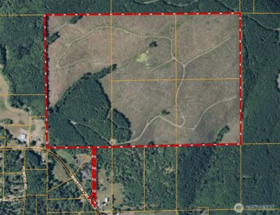 50 x Winston Creek Road , Mossyrock, WA 98564 - Photo 2