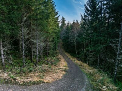 50 x Winston Creek Road , Mossyrock, WA 98564 - Photo 4
