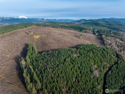50 x Winston Creek Road , Mossyrock, WA 98564 - Photo 7