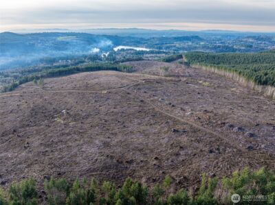 50 x Winston Creek Road , Mossyrock, WA 98564 - Photo 8