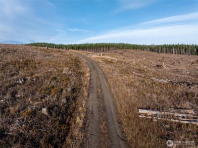 50 x Winston Creek Road , Mossyrock, WA 98564 - Photo 9