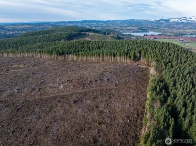 50 x Winston Creek Road , Mossyrock, WA 98564 - Photo 10