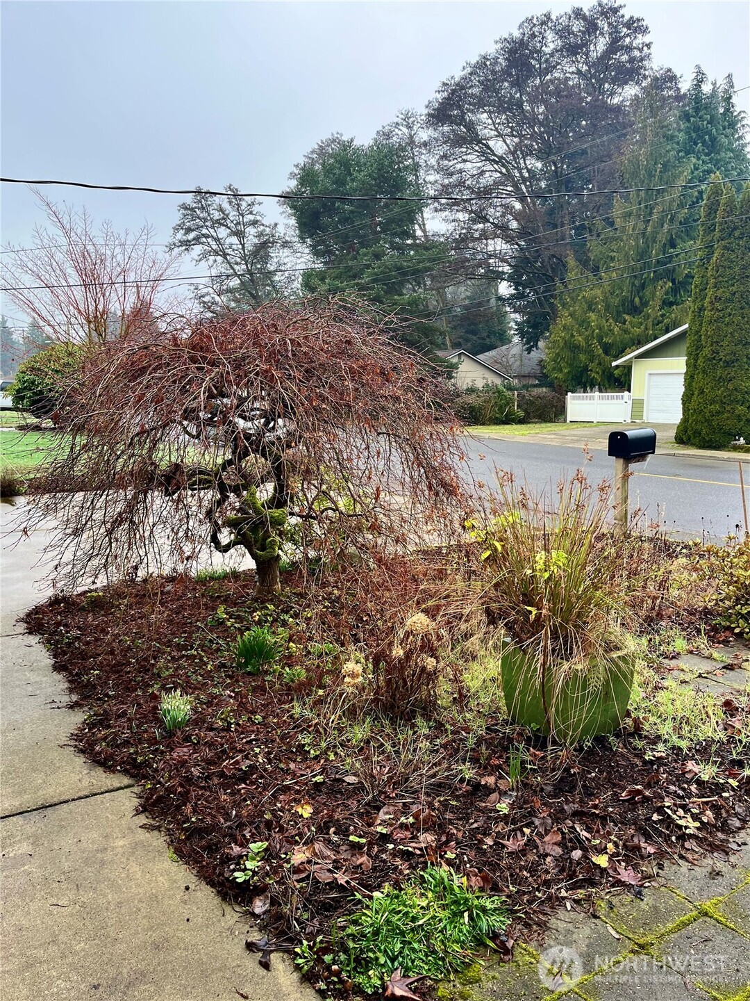 307 X Street , Tumwater, WA 98501