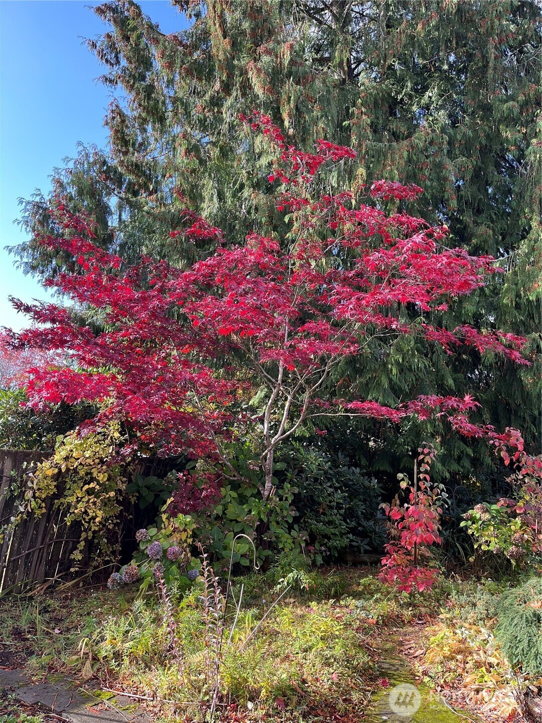 307 X Street , Tumwater, WA 98501