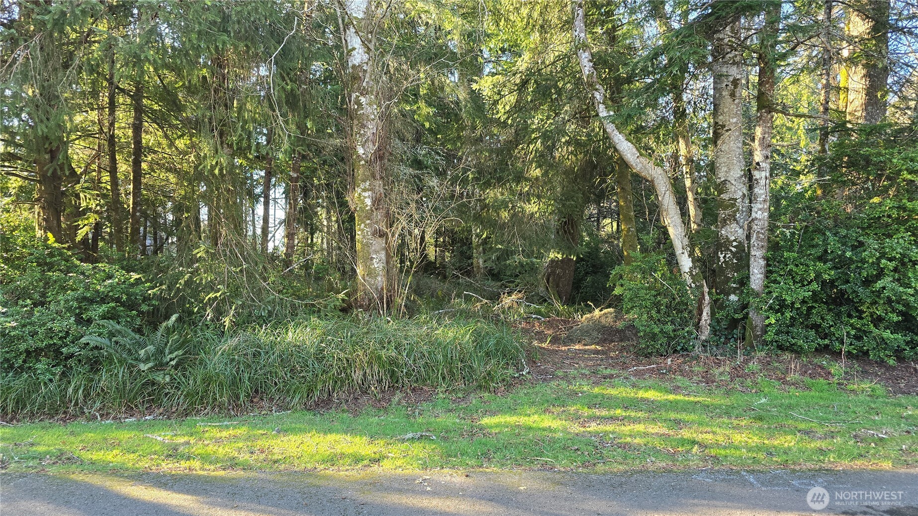 265 Fisher Avenue NE, Ocean Shores, WA 98569