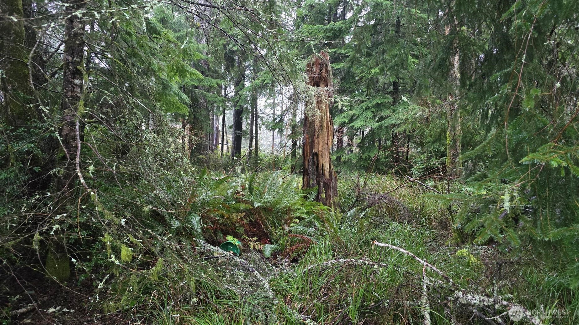 265 Fisher Avenue NE, Ocean Shores, WA 98569