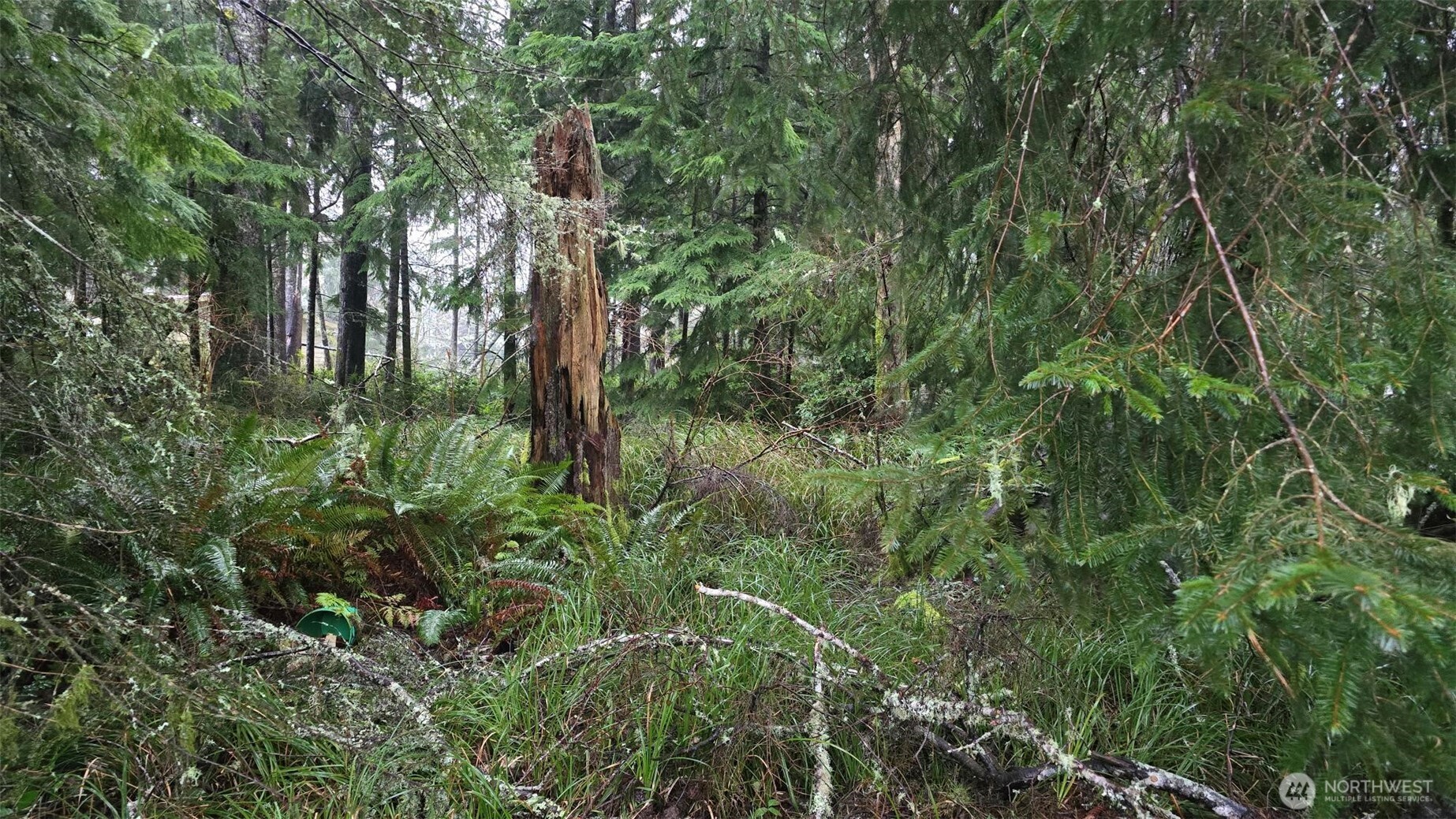 265 Fisher Avenue NE, Ocean Shores, WA 98569