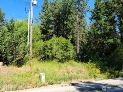 22103 Camp 12 Road , Leavenworth, WA 98826 - Photo 3