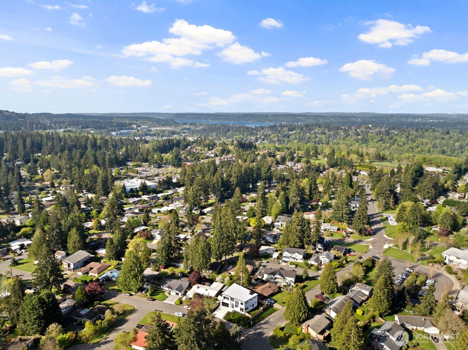 1207 145th Avenue SE, Bellevue, WA 98007