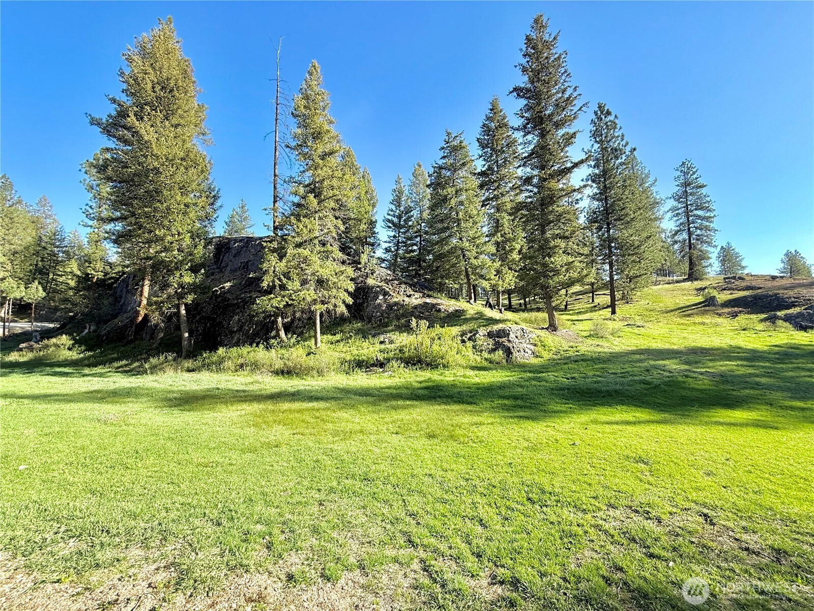 1092 Aeneas Valley Road , Tonasket, WA 98855