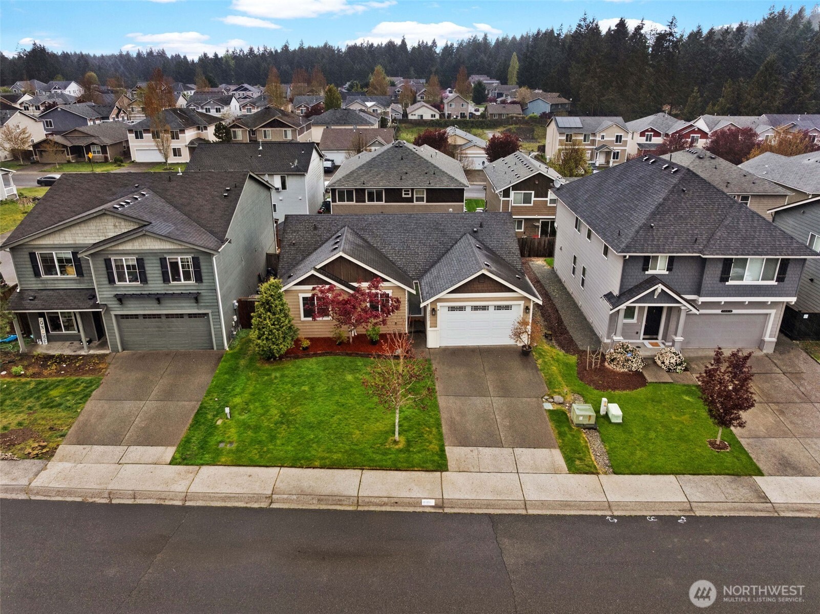 20022 98th Avenue E, Graham, WA 98338