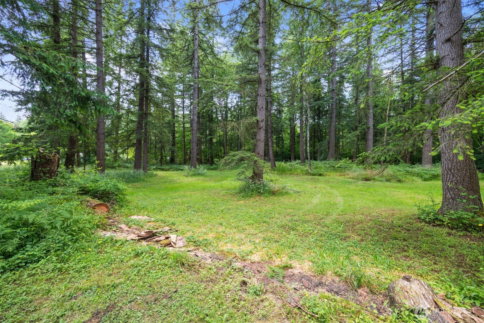 8143 Custer School Road , Custer, WA 98240