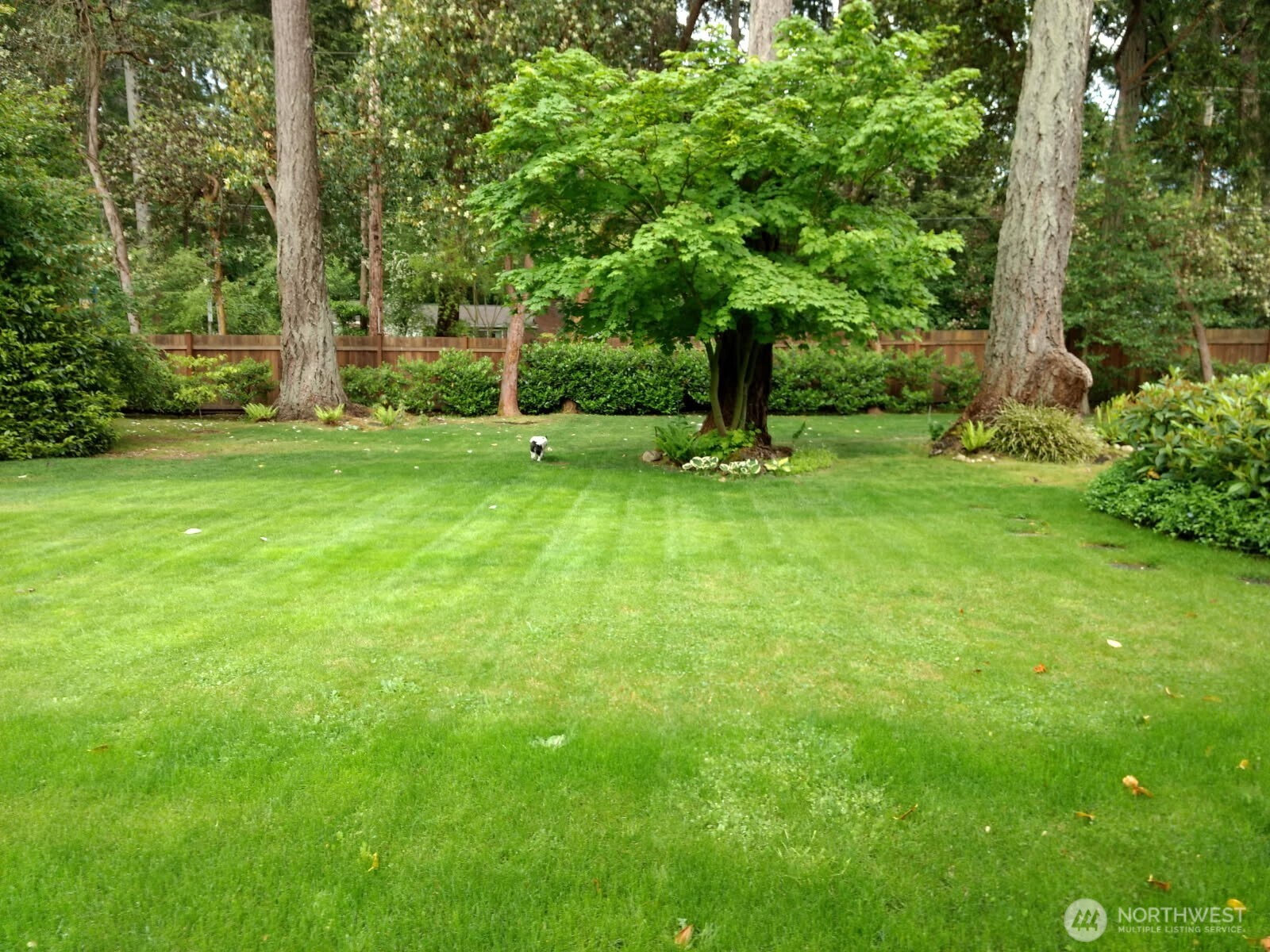 6612 Linwood Lane SW, Lakewood, WA 98499